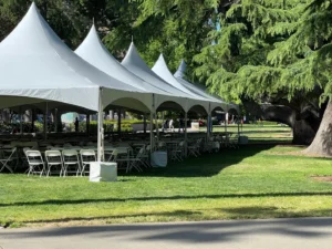 A row of white tents in the grass.