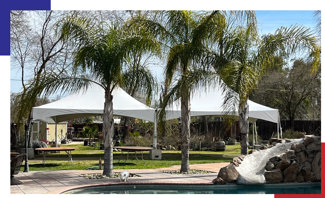 A park with palm trees and tents in the background.